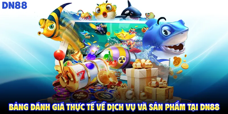 Bảng đánh giá thực tế về dịch vụ và sản phẩm tại DN88